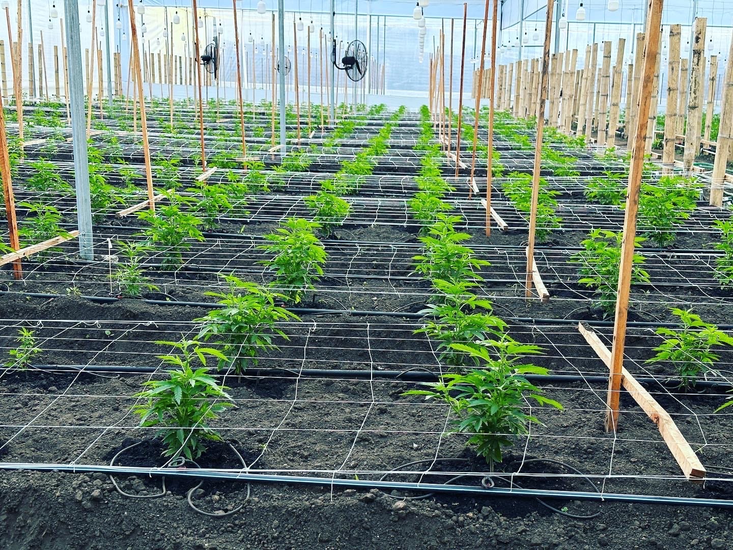 Sustainable Operations
